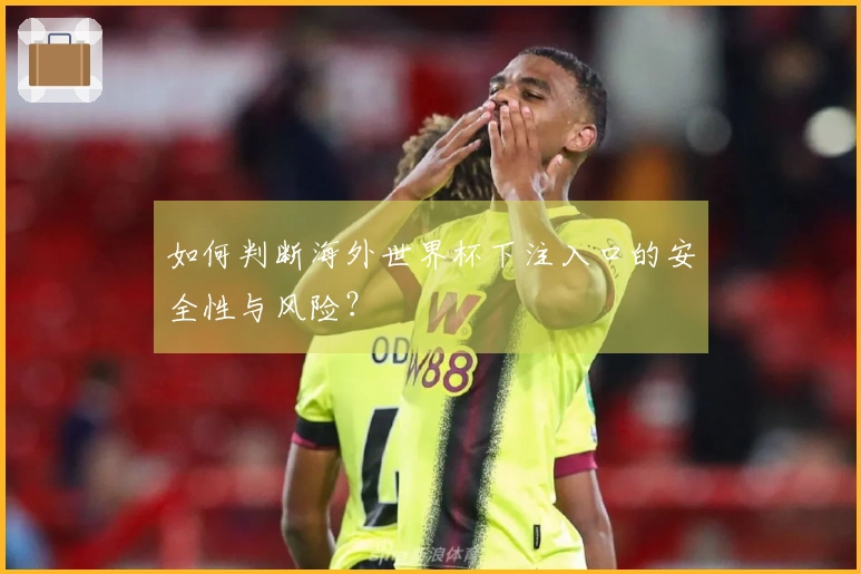 如何判断海外世界杯下注入口的安全性与风险？