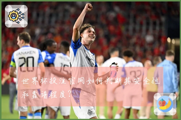 世界杯投注官网如何判断其安全性和靠谱程度?