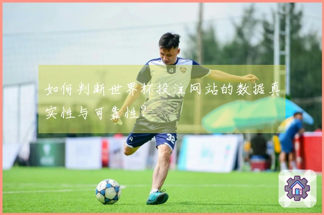 如何判断世界杯投注网站的数据真实性与可靠性?