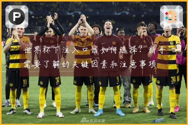世界杯下注入口该如何选择?新手需要了解的关键因素和注意事项