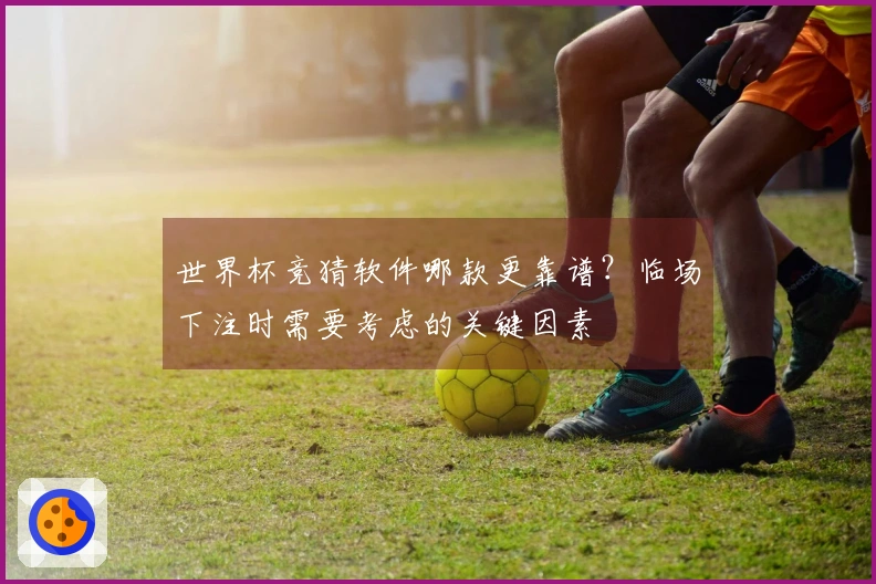 世界杯竞猜软件哪款更靠谱？临场下注时需要考虑的关键因素
