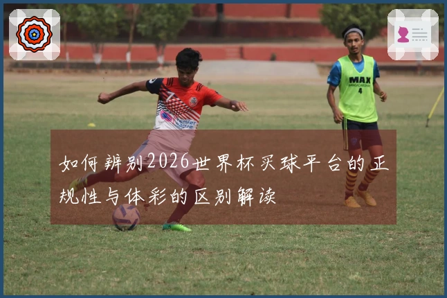 如何辨别2026世界杯买球平台的正规性与体彩的区别解读