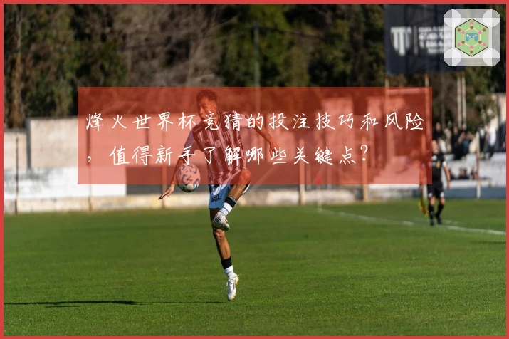 烽火世界杯竞猜的投注技巧和风险，值得新手了解哪些关键点？