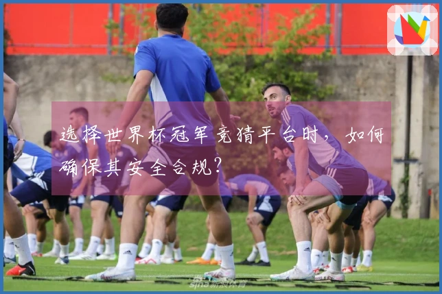 选择世界杯冠军竞猜平台时,如何确保其安全合规?