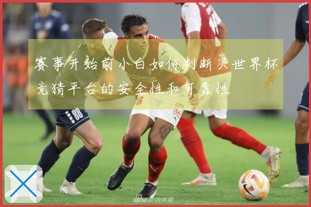 赛事开始前小白如何判断买世界杯竞猜平台的安全性和可靠性