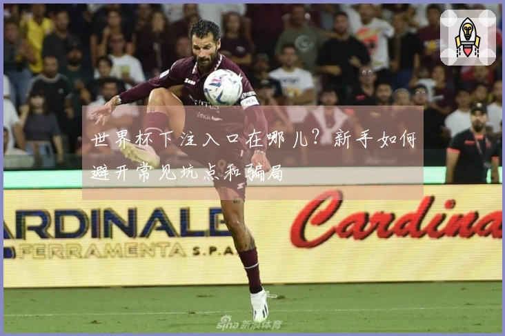 世界杯下注入口在哪儿？新手如何避开常见坑点和骗局
