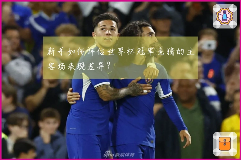 新手如何评估世界杯冠军竞猜的主客场表现差异？