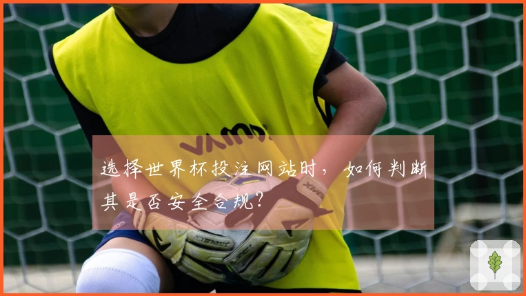 选择世界杯投注网站时,如何判断其是否安全合规?