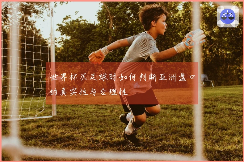 世界杯买足球时如何判断亚洲盘口的真实性与合理性