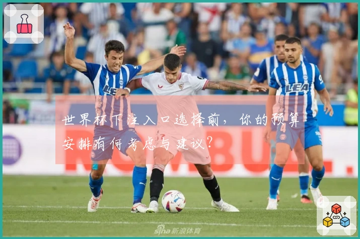 世界杯下注入口选择前，你的预算安排有何考虑与建议？