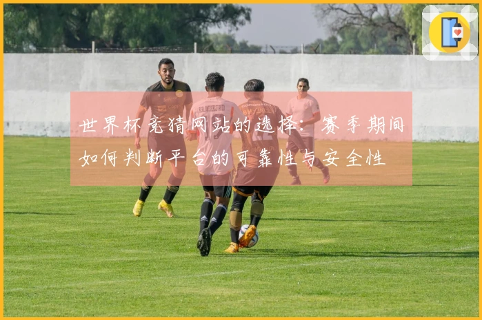 世界杯竞猜网站的选择：赛季期间如何判断平台的可靠性与安全性