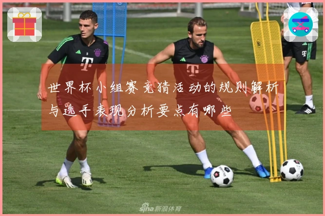 世界杯小组赛竞猜活动的规则解析与选手表现分析要点有哪些