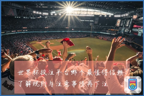 世界杯投注平台哪个最值得信赖？了解规则与注意事项再下注