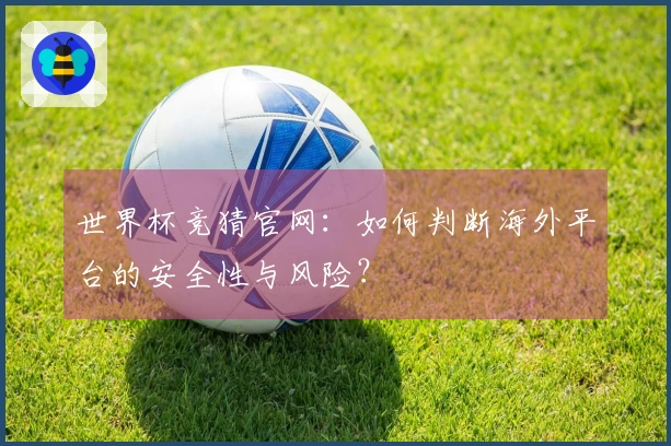 世界杯竞猜官网：如何判断海外平台的安全性与风险？