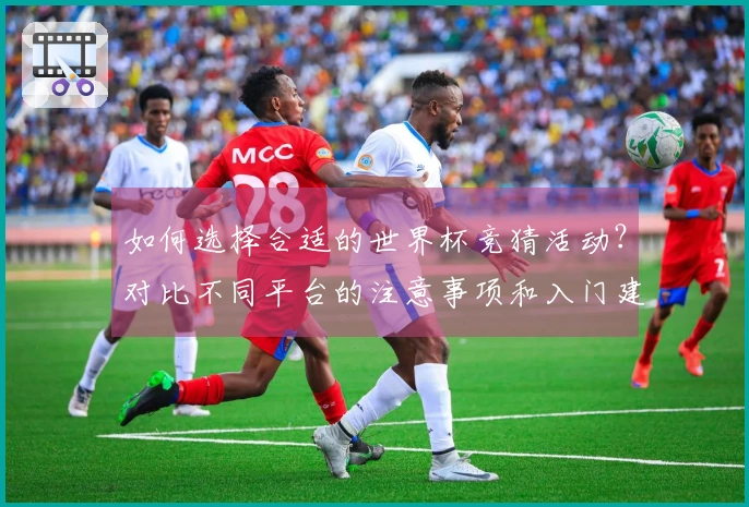 如何选择合适的世界杯竞猜活动？对比不同平台的注意事项和入门建议