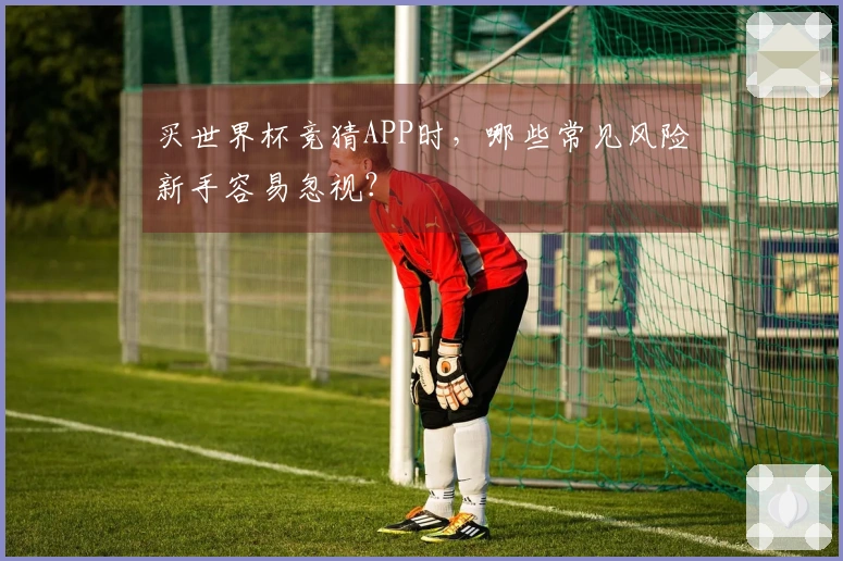 买世界杯竞猜APP时，哪些常见风险新手容易忽视？