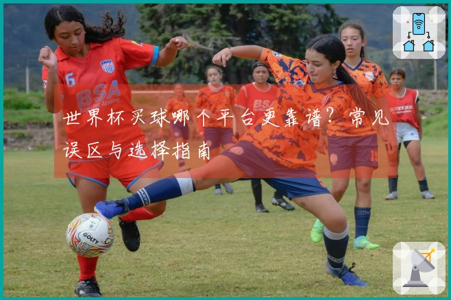 世界杯买球哪个平台更靠谱？常见误区与选择指南