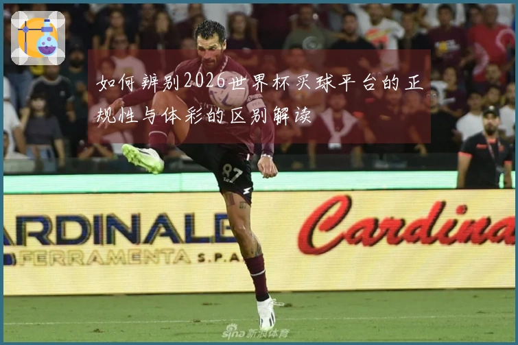 如何辨别2026世界杯买球平台的正规性与体彩的区别解读