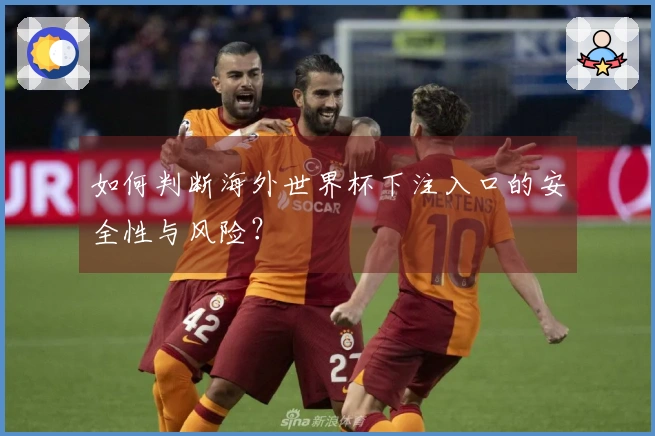 如何判断海外世界杯下注入口的安全性与风险?