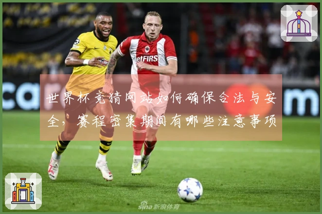 世界杯竞猜网站如何确保合法与安全，赛程密集期间有哪些注意事项？