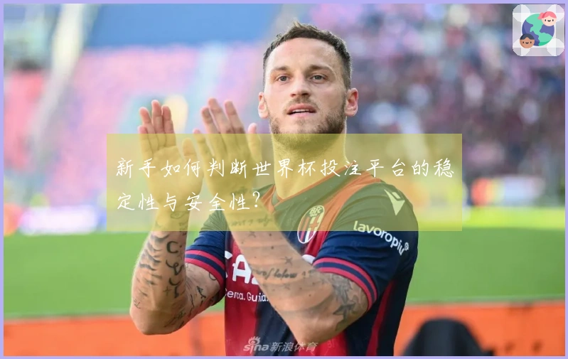 新手如何判断世界杯投注平台的稳定性与安全性?