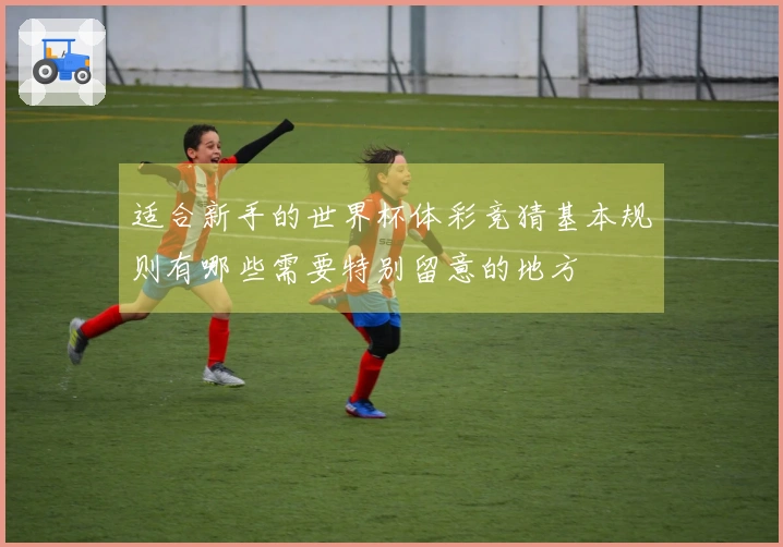 适合新手的世界杯体彩竞猜基本规则有哪些需要特别留意的地方