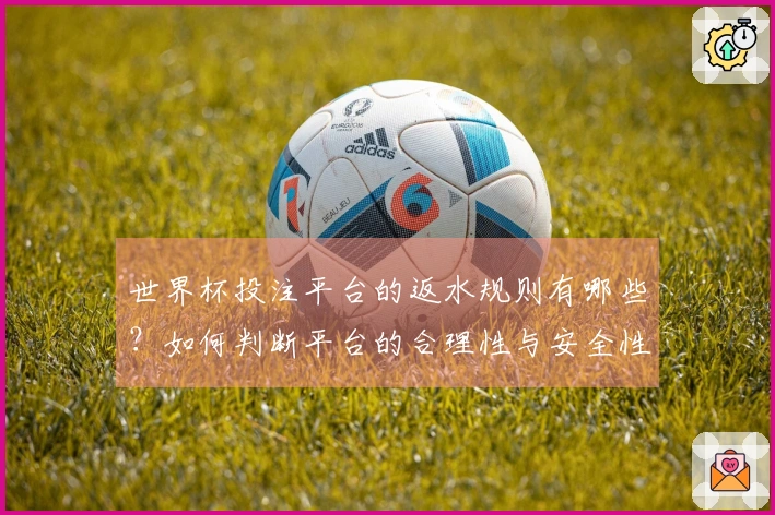 世界杯投注平台的返水规则有哪些？如何判断平台的合理性与安全性