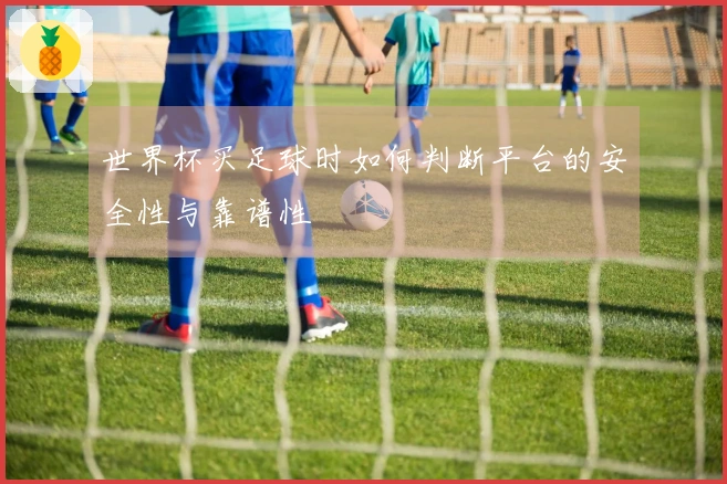 世界杯买足球时如何判断平台的安全性与靠谱性