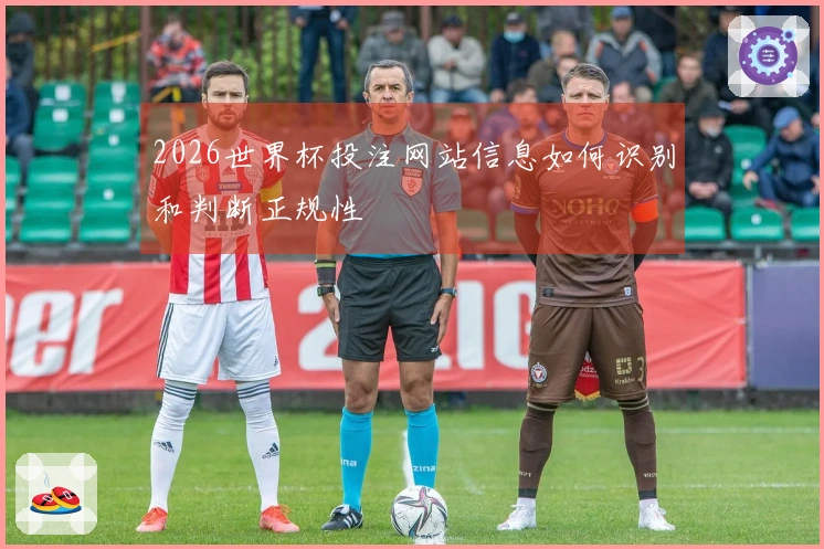 2026世界杯投注网站信息如何识别和判断正规性