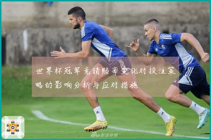 世界杯冠军竞猜赔率变化对投注策略的影响分析与应对措施