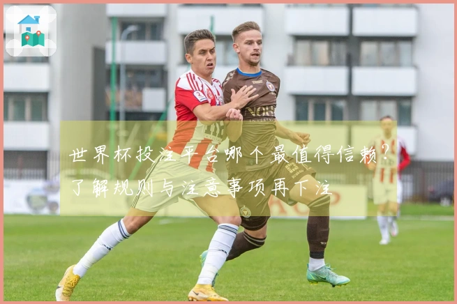 世界杯投注平台哪个最值得信赖?了解规则与注意事项再下注