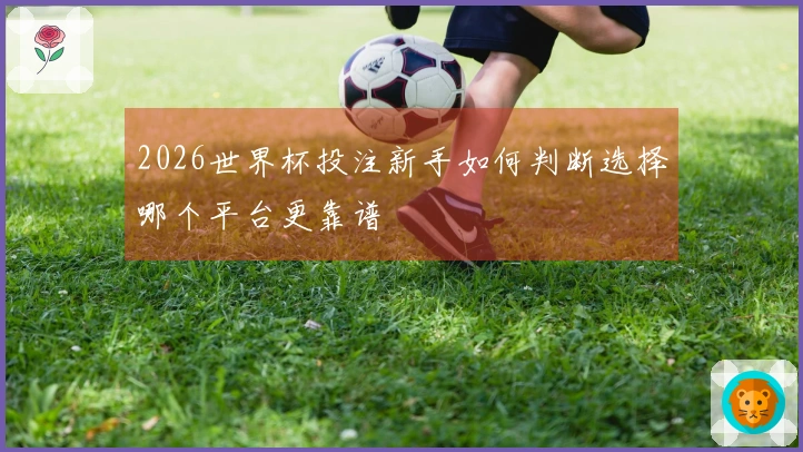 2026世界杯投注新手如何判断选择哪个平台更靠谱
