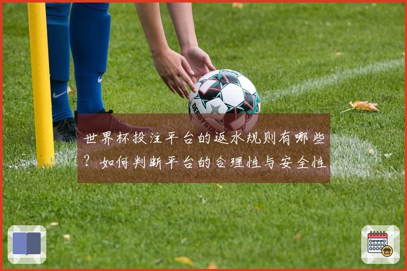 世界杯投注平台的返水规则有哪些？如何判断平台的合理性与安全性