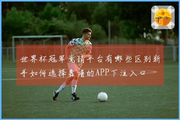 世界杯冠军竞猜平台有哪些区别新手如何选择靠谱的APP下注入口